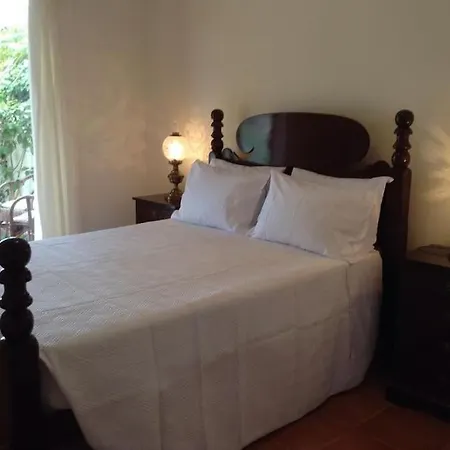 Casa Da Palmeira